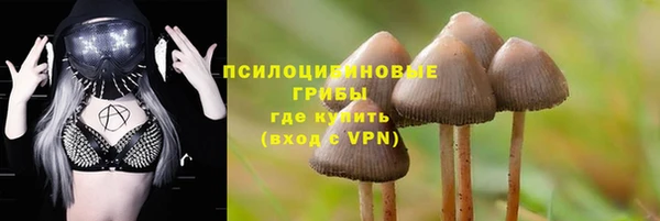 мескалин Белокуриха