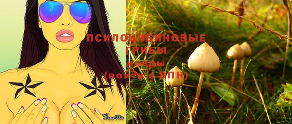 молекула духа Беломорск